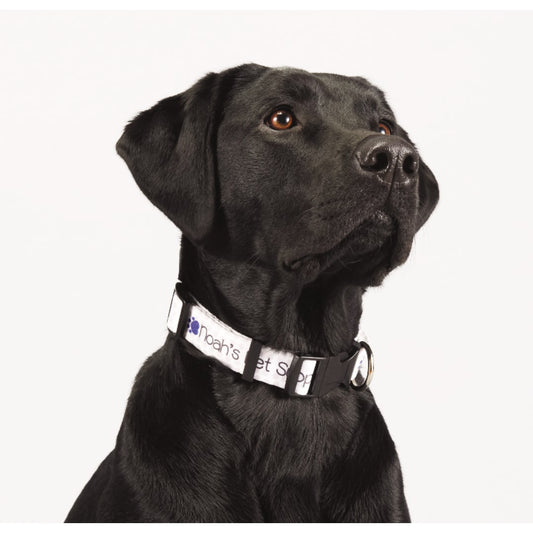 Full Color 1" Wide Adjustable Pet Collar