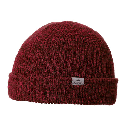 Roots Unisex Virden Knit Toque